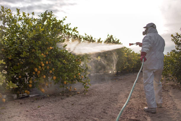 Best Emergency Pest Control  in Trinity, NC
