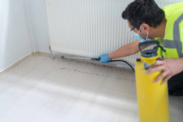 Best Flea Control Services  in Trinity, NC