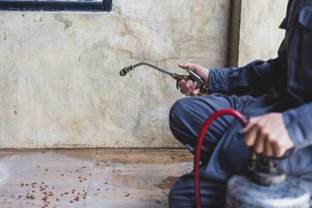Best Pest Control for Restaurants  in Trinity, NC